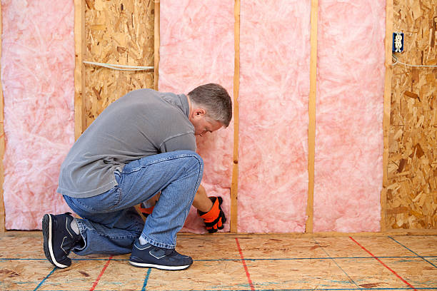 Best Geographic-Specific Insulation Services in Inman, KS